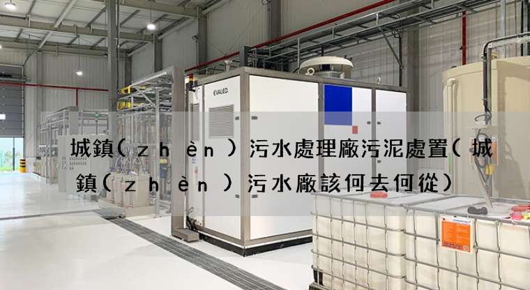 城鎮(zhèn)污水處理廠污泥處置(城鎮(zhèn)污水廠該何去何從)